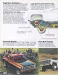 1979 Chevrolet Pickups-06